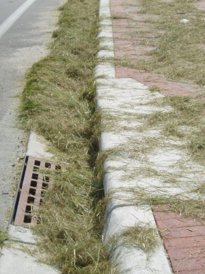 By spreading grass clippings on your lawn, you can reduce the amount of fertilizer needed. It is important to keep clippings out of storm drains and the street.