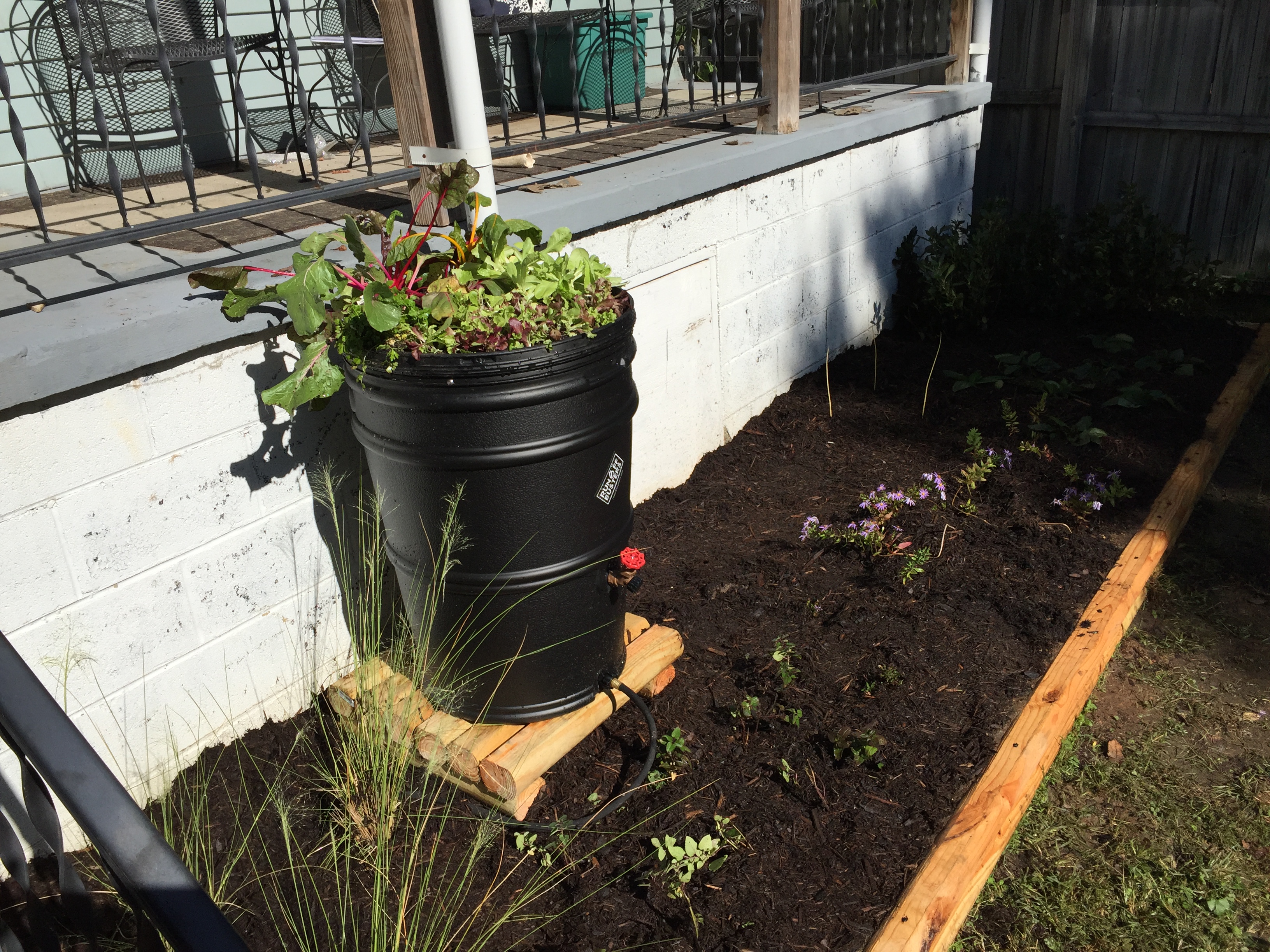 Double Duty: Consider combining a rainbarrel and an edible container
