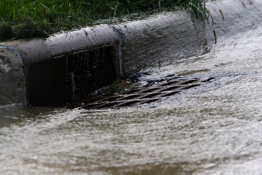 Most storm drains - and everything carried by the water entering them - go directly to nearby streams. In older cities they may pipe stormwater to treatment facilities, but this opens up a number of other problems. Best bet is to only let rain in the drain!