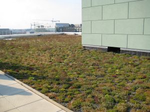 A green roof in Washington, D.C.