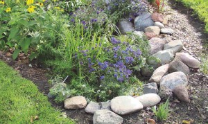 Large stones can be placed on the perimeter to reinforce the rain garden during storms.