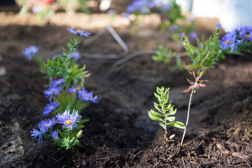 Your spring plantings will love some fresh compost that spent most of the winter decomposing!