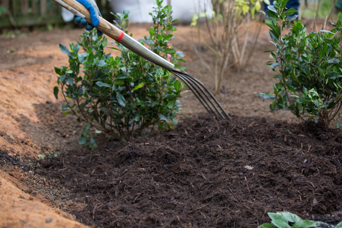 Make sure your rain garden has a warm blanket of mulch for the winter.